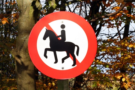 no horseback riding in the woodの写真素材