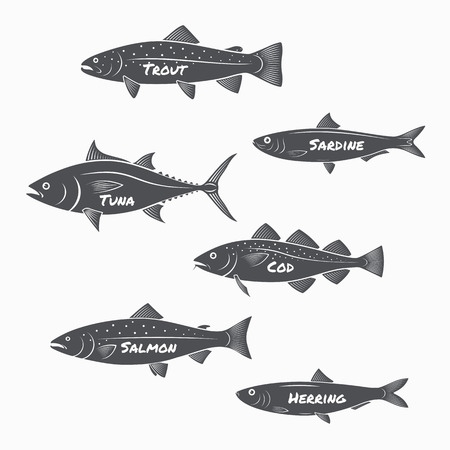 Set of fish silhouettes on white background. Trout, sardine, tuna, cod, salmon and herring labels.のイラスト素材