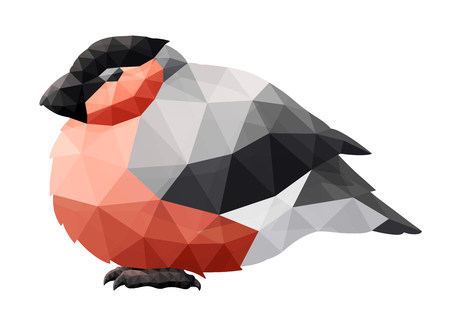 Beautiful low poly illustration with bullfinch on white backgroundの写真素材