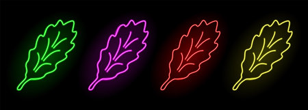 beautiful colorful linear illustration with illuminated neon stylized oak leaves collection on the dark backgroundのイラスト素材