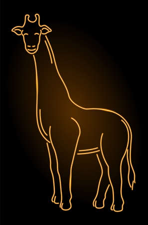 Beautiful linear illustration with shiny colorful neon giraffe silhouette on the dark backgroundのイラスト素材