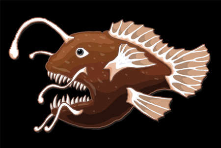 Beautiful vector illustration with colorful brown hand drawn anglerfish isolated on the black backgroundのイラスト素材