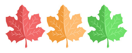 Flat design illustration featuring three isolated maple leaves in red, orange, and greenのイラスト素材
