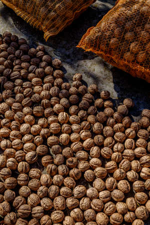 Real walnut, Juglans regiaの写真素材