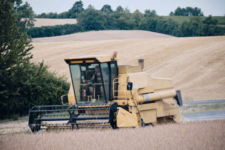 Combine harvester during the grain harvest