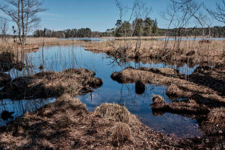 Easter lakes near Iffeldorf