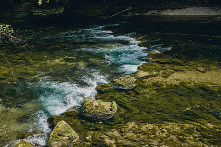 The clear water of the Mangfall in Upper Bavariaの写真素材