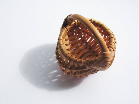 a wattled pottle on the light backgroundの写真素材