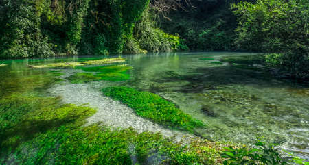 Nature