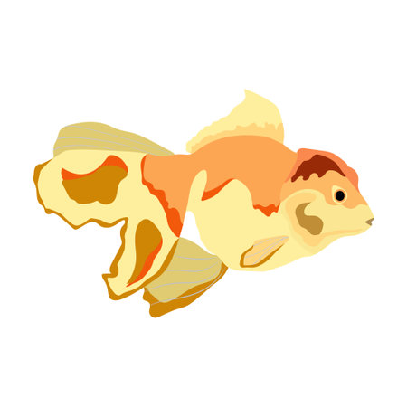 Vector illustration of fish in orange color scheme, modern flat color design, soft paste color orange, sea fish and pond fishのイラスト素材