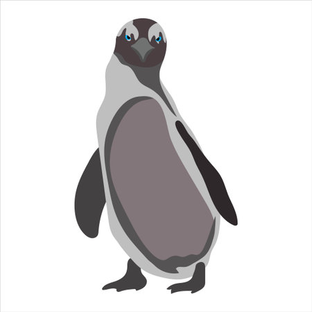 Vector illustration of cartoon penguin in modern flat color design, black, white, and gray. North and south pole winter and snow artic antarticaのイラスト素材
