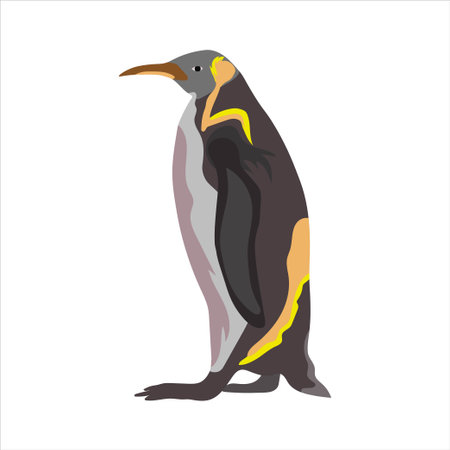 Vector illustration of cartoon penguin in modern flat color design, black, white, and gray. North and south pole winter and snow artic antarticaのイラスト素材