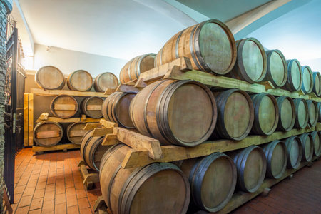 Barrels in an old wine cellar