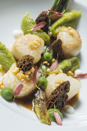 Closeup of scallop dishの写真素材