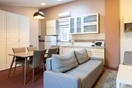 Kitchen and living room,  apartment interiorの写真素材