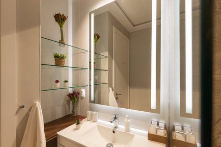 Bathroom interior in modern new hotelの写真素材