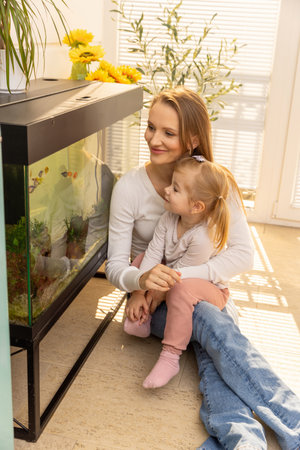 Little girl watching fishes in fish tank with her motherの写真素材