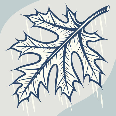 Vector illustration of an oak leaf on a gray background with iciclesのイラスト素材