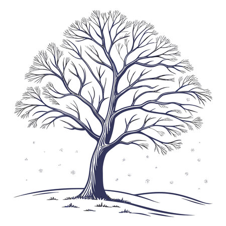 Winter tree. Hand drawn vector illustration. Isolated on white background.のイラスト素材