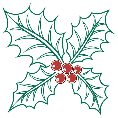 Christmas holly berry isolated on white background. Vector illustration.のイラスト素材