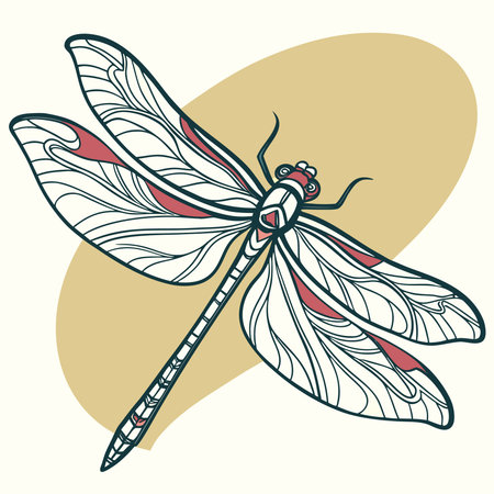 Dragonfly. Hand drawn vector illustration in doodle style.のイラスト素材