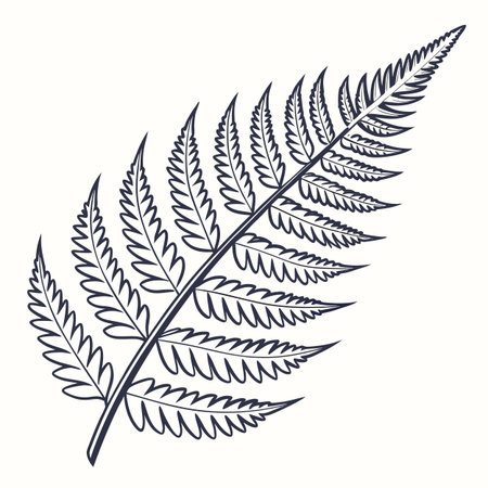 A detailed hand-drawn illustration of a single fern leaf, perfect for nature-themed designs.のイラスト素材