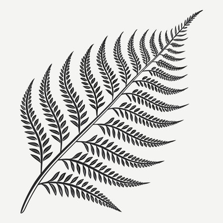 A detailed illustration of a single fern leaf in black and white, perfect for botanical or nature-themed designs.のイラスト素材