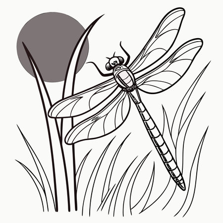 A delicate outline illustration of a dragonfly perched amongst tall blades of grass with a subtle...