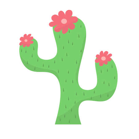 cute cactus or succulent with flowers, vector cartoon illustration in flat style with shadowsのイラスト素材