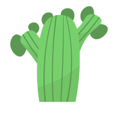 cute cactus or succulent, vector cartoon illustration in flat style with shadowsのイラスト素材