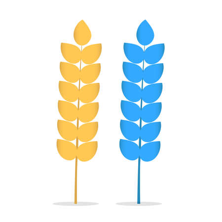 Blue and yellow Ears of Wheat plant spikelets icon set on white background flat vector illustration.のイラスト素材