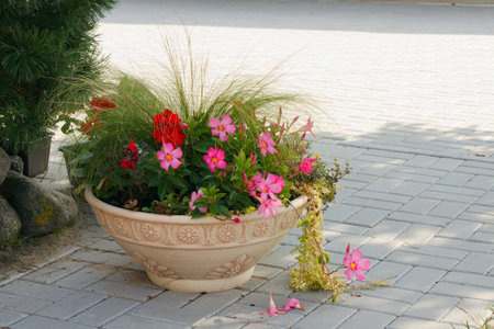 Flower pot on the street in the city. Decoration for the garden.の写真素材