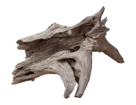 Old Driftwood Isolated on a white backgroundの写真素材