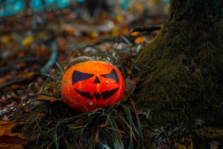 Halloween Pumpkin in the Forest. Scary pumpkin decorations with creepy toothy smile at wood background.の写真素材