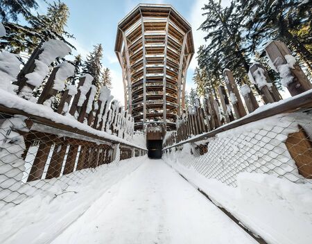 Tree Top Walk in Janske Lazne. High tower for walking tourists in the Krkonose forest in winter. The Timber Trail. Treetop walkway tower in Czech Republic.の写真素材
