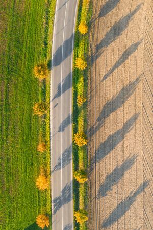Road between green field and cultivated ground with yellow trees at sunset in autumn. Aerial view on empty asphalt speedway or trees alleyの写真素材