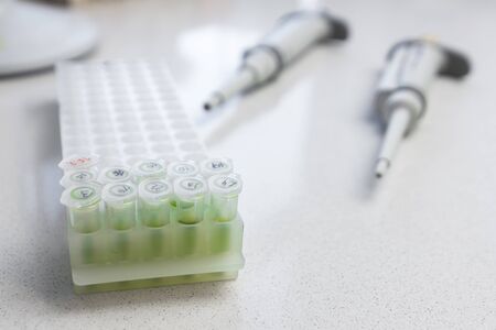 Chemical equipment are on the white background. Automatic pipettes and microtube rack on the working...