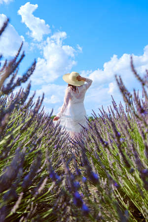 Beautiful young woman in a white wedding dress and hat standing in the lavender field.の写真素材