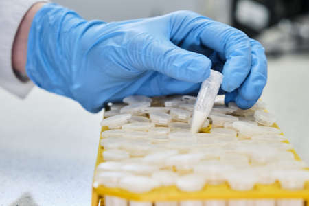 Closeup woman hands in rubber gloves holding small tube with a white powder next to rack. Scientific...