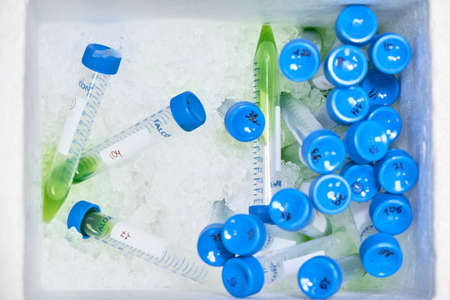 Plastic falcone test tubes with green liquid keep in the ice. Sample preparation process in chemical laboratory. Research and development process.の写真素材
