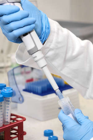 Close up woman hand in a rubber blue gloves collect a sample from falcone test tube using automatic...