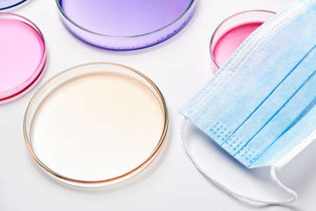 Petri dishes with colorful agar media with bacterial colonies for biochemical analysis in...