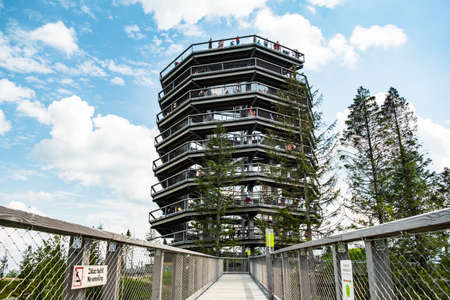 The Tree top walk and stairs in the Bachledova Valley.の写真素材