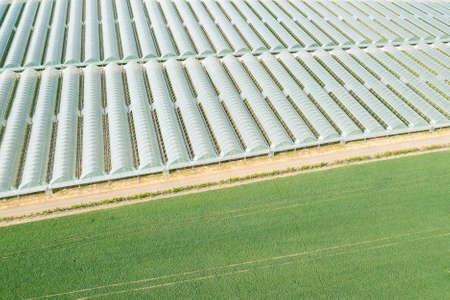Greenhouses covered with film for planting vegetables in the fields.の写真素材
