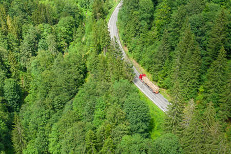 Aerial view of winding road in the forest
