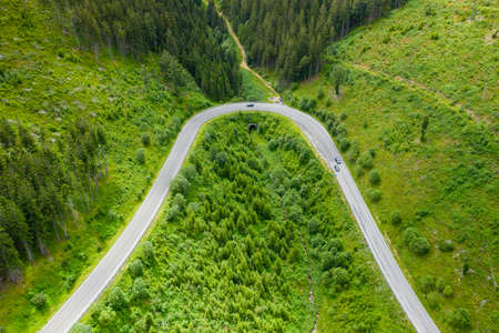 Aerial view of winding road in the forestの写真素材