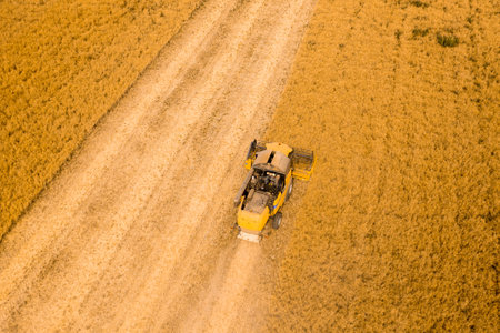 Top view of a combine harvester harvesting wheat from a fieldの写真素材