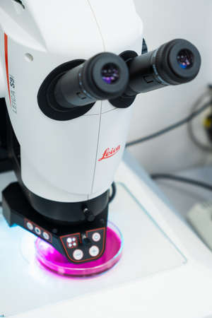 Leica Microscope for DNA analysis or small objects and cells. Microbiological or clinical analysis of oncological cells in Petri dish. January 2022, Prague, Czech Republic.のeditorial素材