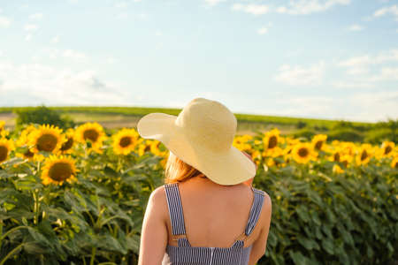 Young woman in wicker straw hat stands against sunflower field on sunny summer day. Lady enjoys...