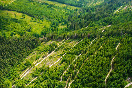 Aerial view of amazing landscape with high trees on the hills in a summer sunny day, Dolni Morava,...